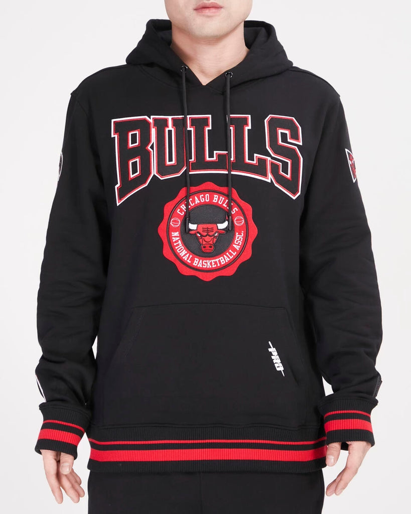 PRO STANDARD BEARS HOODIE – NBG Chicago