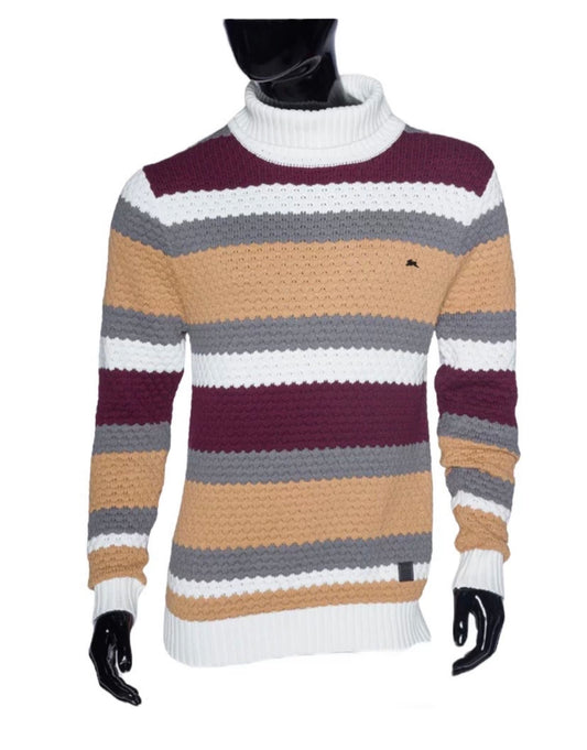 Theo | Men's Multi Color Turtleneck Sweater